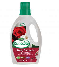 Scotts Osmocote® Boost+Feed Roses, Gardenias, Azaleas &amp; Camellias
