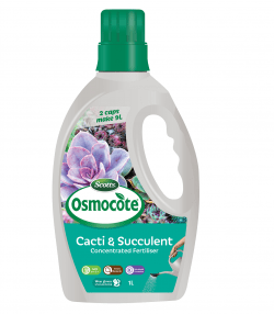 Scotts Osmocote® Boost+Feed Cacti &amp; Succulents 
