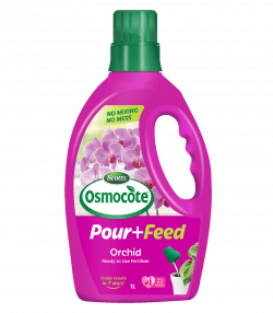 Scotts Osmocote® Pour+Feed Orchid Liquid Fertiliser
