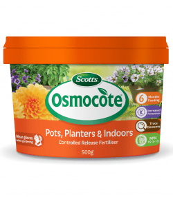 Scotts Osmocote Controlled Release Fertiliser for Pots, Planters
