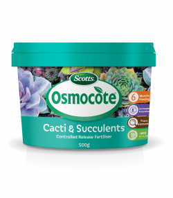 Scotts Osmocote® Controlled Release Fertiliser: Cacti &amp; Succulent
