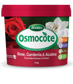 Scotts Osmocote® Controlled Release Fertiliser: Roses, Gardenias, Azaleas &amp; Camellias 
