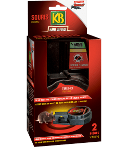 KB Home Defense ‘Spin’ Muizenval
