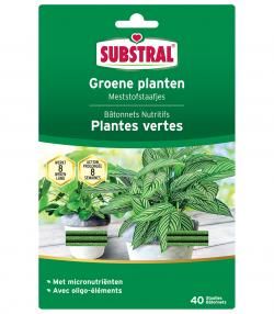 Substral Meststofstaafjes Voor Groene Planten
