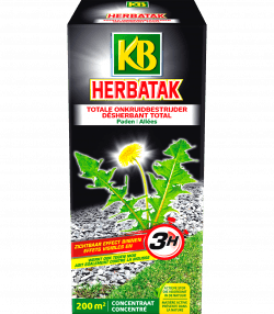 Kb Herbatak Allées Non Pavées
