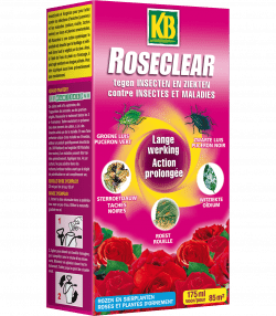 KB Roseclear