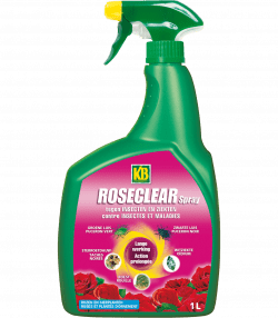 KB Roseclear Spray
