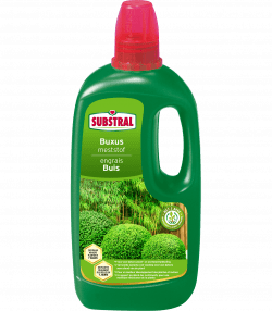 Substral Engrais Pour Buis
