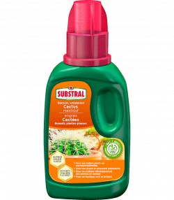 Substral Engrais Pour Cactées, Bonsaïs Et Plantes Grasses
