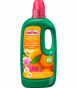 Substral Mediterrane Planten En Citrusmeststof
