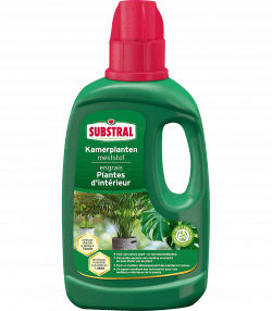 Substral Engrais Pour Plantes D’Intérieur
