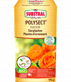 Substral Naturen Polysect insecticide biologique
