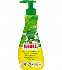 Substral Engrais Pour Plantes Vertes Et D’Intérieur

