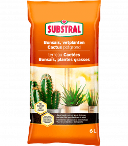 Substral Cactus-, Bonsai- En Vetplantenpotgrond
