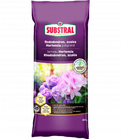 Substral Terreau Pour Hortensia, Rhododendron &amp; Azalée