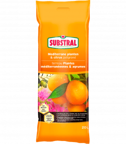 Substral Potgrond Voor Mediterrane Planten &amp; Citrus
