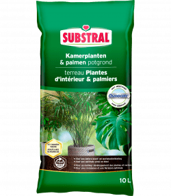Substral Kamerplanten- En Palmenpotgrond
