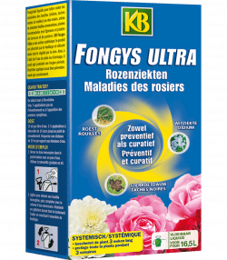 KB Fongys Ultra

