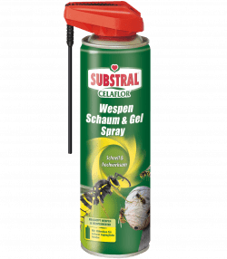 SUBSTRAL® Celaflor® Wespen Schaum &amp; Gel Spray
