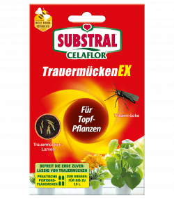 SUBSTRAL® Celaflor Trauermücken EX
