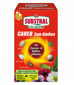 SUBSTRAL® Celaflor CAREO zum Gießen
