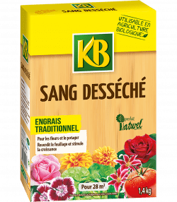 KB sang desséché
