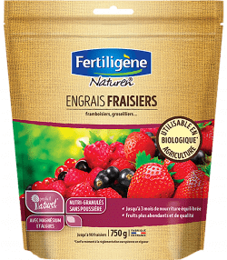 Fertiligène engrais fraisiers, framboisiers, groseilliers
