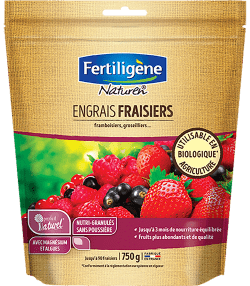 Fertiligène engrais fraisiers, framboisiers, groseilliers

