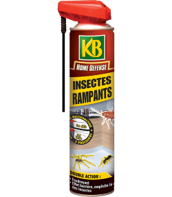 KB Home Defense® insectes rampants aérosol

