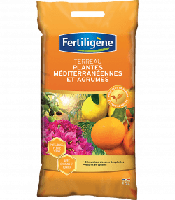 Fertiligène terreau plantes méditerranéennes et agrumes 
