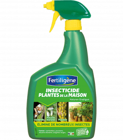Fertiligène Insecticide plantes de la maison