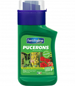 Fertiligène pucerons 

