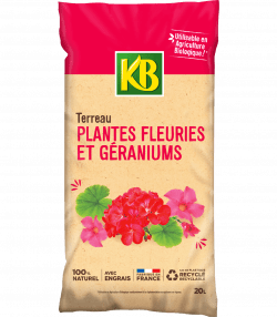 KB terreau plantes fleuries et géraniums
