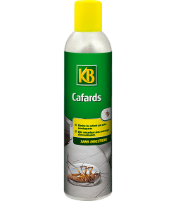 KB cafards aérosol sans insecticide
