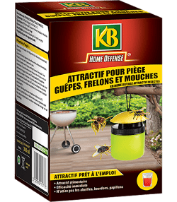 KB Home Defense® Piège à guêpes frelons et mouches