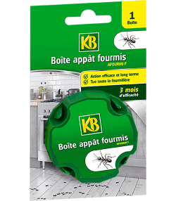KB boîte appât fourmis
