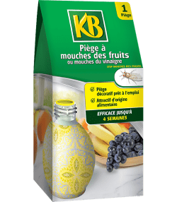 KB piège à mouches des fruits
