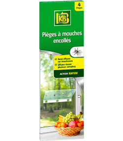 KB pièges à mouches encollés
