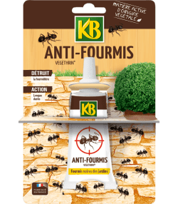 KB fourmis tubes