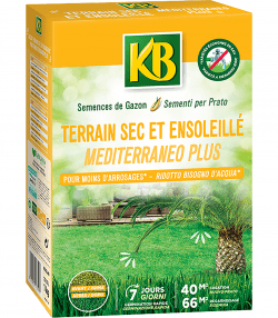 KB semences gazon terrain sec et ensoleillé
