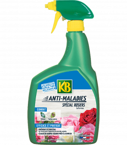 KB anti maladies spécial rosiers
