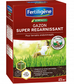 Fertiligène semences gazon super regarnissant
