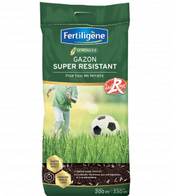 Fertiligène semences gazon super résistant
