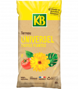Terreau universel toutes plantes
