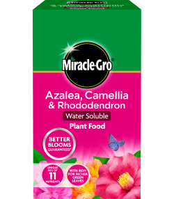 Miracle-Gro® Azalea, Camellia &amp; Rhododendron Soluble Plant Food
