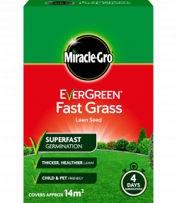 Miracle-Gro® EverGreen® Fast Grass Lawn Seed

