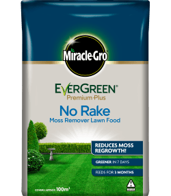 Miracle-Gro® EverGreen® Premium Plus No Rake Moss Remover Lawn Food

