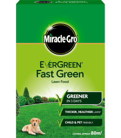 Miracle-Gro® EverGreen® Fast Green
