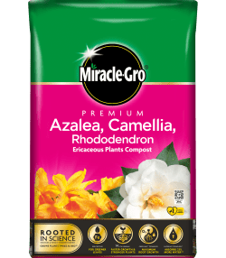 Miracle-Gro® Premium Azalea, Camellia &amp; Rhododendron Ericaceous Compost
