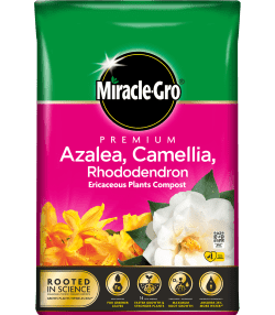 Miracle-Gro® Premium Azalea, Camellia &amp; Rhododendron Ericaceous Compost
